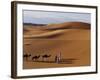 Berber Tribesmen Lead their Camels Through the Sand Dunes of the Erg Chegaga, in the Sahara Region -Mark Hannaford-Framed Photographic Print