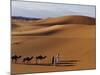 Berber Tribesmen Lead their Camels Through the Sand Dunes of the Erg Chegaga, in the Sahara Region -Mark Hannaford-Mounted Photographic Print