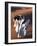 Berber Tribesmen Lead their Camels Through the Sand Dunes of the Erg Chegaga, in the Sahara Region -Mark Hannaford-Framed Photographic Print