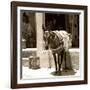 Berber Village - Atlas - Marrakesh - Morocco - North Africa - Africa-Philippe Hugonnard-Framed Photographic Print