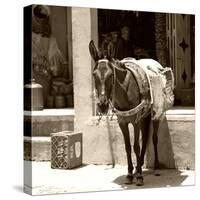 Berber Village - Atlas - Marrakesh - Morocco - North Africa - Africa-Philippe Hugonnard-Stretched Canvas