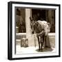 Berber Village - Atlas - Marrakesh - Morocco - North Africa - Africa-Philippe Hugonnard-Framed Photographic Print