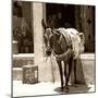 Berber Village - Atlas - Marrakesh - Morocco - North Africa - Africa-Philippe Hugonnard-Mounted Photographic Print