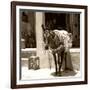 Berber Village - Atlas - Marrakesh - Morocco - North Africa - Africa-Philippe Hugonnard-Framed Photographic Print