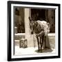 Berber Village - Atlas - Marrakesh - Morocco - North Africa - Africa-Philippe Hugonnard-Framed Photographic Print