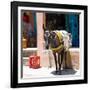 Berber Village - Atlas - Marrakesh - Morocco - North Africa - Africa-Philippe Hugonnard-Framed Photographic Print