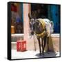 Berber Village - Atlas - Marrakesh - Morocco - North Africa - Africa-Philippe Hugonnard-Framed Stretched Canvas