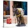 Berber Village - Atlas - Marrakesh - Morocco - North Africa - Africa-Philippe Hugonnard-Stretched Canvas
