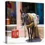 Berber Village - Atlas - Marrakesh - Morocco - North Africa - Africa-Philippe Hugonnard-Stretched Canvas