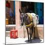 Berber Village - Atlas - Marrakesh - Morocco - North Africa - Africa-Philippe Hugonnard-Mounted Photographic Print