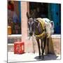 Berber Village - Atlas - Marrakesh - Morocco - North Africa - Africa-Philippe Hugonnard-Mounted Photographic Print