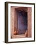 Berber Village Doorway, Morocco-Darrell Gulin-Framed Photographic Print