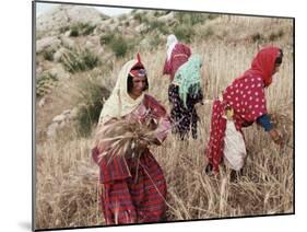 Berber Women Harvesting Near Maktar, the Tell, Tunisia, North Africa, Africa-David Beatty-Mounted Photographic Print