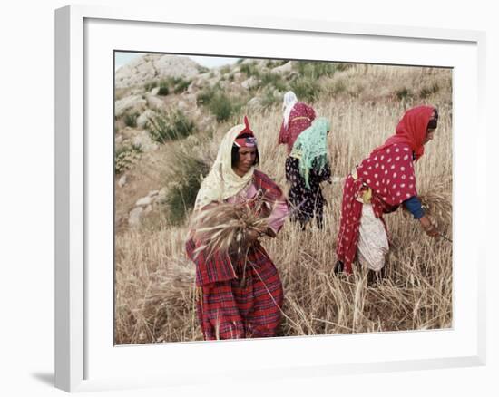 Berber Women Harvesting Near Maktar, the Tell, Tunisia, North Africa, Africa-David Beatty-Framed Photographic Print