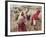 Berber Women Harvesting Near Maktar, the Tell, Tunisia, North Africa, Africa-David Beatty-Framed Photographic Print