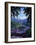 Berchtesgaden, Bavaria, Germany-Walter Bibikow-Framed Photographic Print