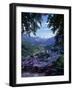 Berchtesgaden, Bavaria, Germany-Walter Bibikow-Framed Photographic Print