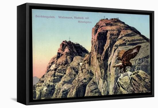 Berchtesgaden Bayer, Hochland, Watzmann, Hocheck Mit Mittelspitze, Steinadler-null-Framed Stretched Canvas