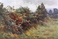 Hedgerow with Berries-Berenger Benger-Art Print