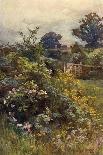 Clump of Wild Daisies in a Spring Meadow-Berenger Benger-Stretched Canvas