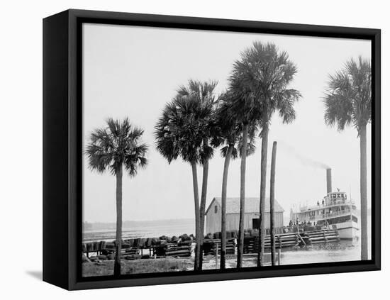 Beresford on the St. Johns, Fla.-null-Framed Stretched Canvas