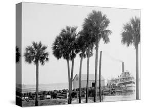 Beresford on the St. Johns, Fla.-null-Stretched Canvas