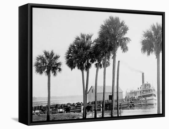 Beresford on the St. Johns, Fla.-null-Framed Stretched Canvas