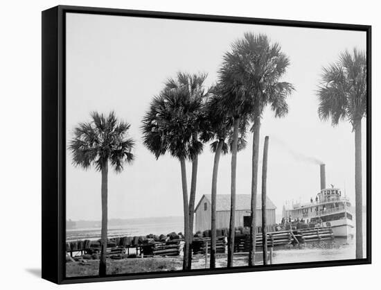 Beresford on the St. Johns, Fla.-null-Framed Stretched Canvas