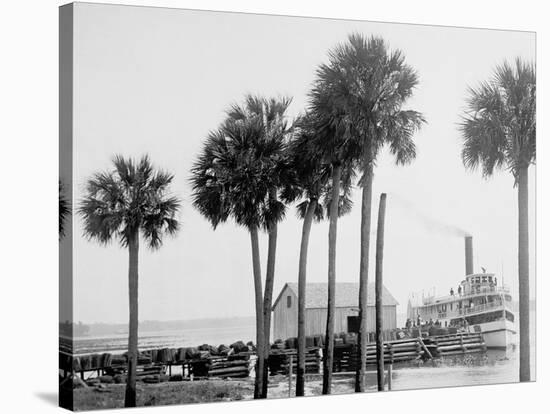 Beresford on the St. Johns, Fla.-null-Stretched Canvas