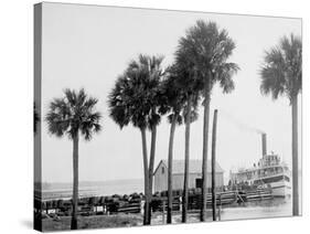 Beresford on the St. Johns, Fla.-null-Stretched Canvas