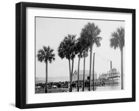 Beresford on the St. Johns, Fla.-null-Framed Photo