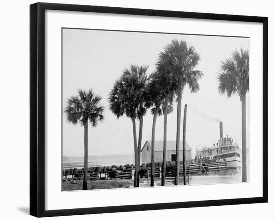 Beresford on the St. Johns, Fla.-null-Framed Photo