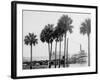 Beresford on the St. Johns, Fla.-null-Framed Photo