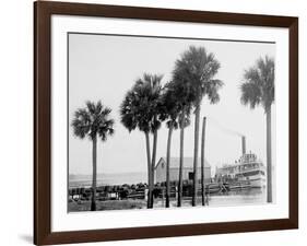 Beresford on the St. Johns, Fla.-null-Framed Photo