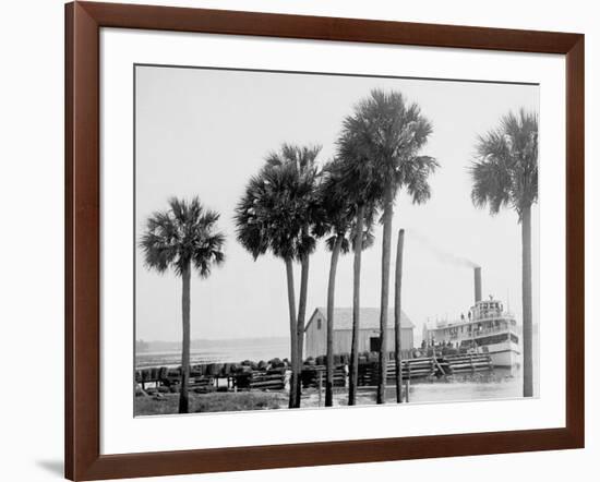 Beresford on the St. Johns, Fla.-null-Framed Photo