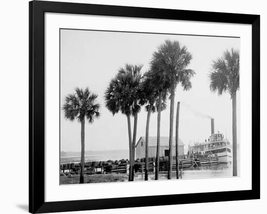 Beresford on the St. Johns, Fla.-null-Framed Photo