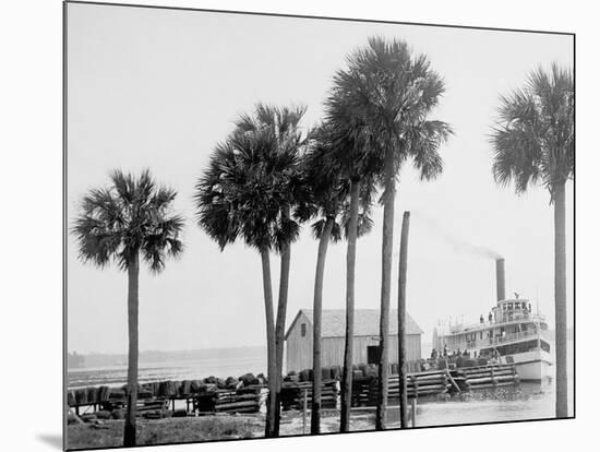 Beresford on the St. Johns, Fla.-null-Mounted Photo