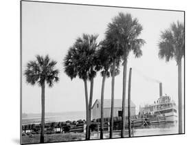 Beresford on the St. Johns, Fla.-null-Mounted Photo