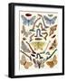 Berge's Butterfly's-Berge-Framed Art Print