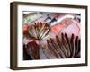 Bergen's Fish Market, Norway-Russell Young-Framed Photographic Print