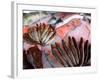 Bergen's Fish Market, Norway-Russell Young-Framed Photographic Print