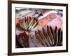 Bergen's Fish Market, Norway-Russell Young-Framed Photographic Print