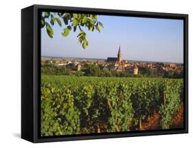 Bergheim, Alsace, France-John Miller-Framed Stretched Canvas