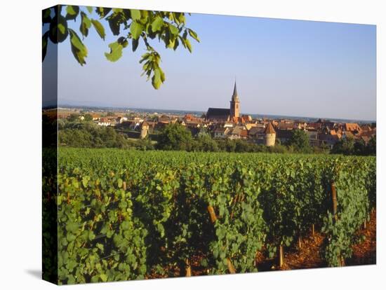 Bergheim, Alsace, France-John Miller-Stretched Canvas