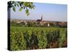 Bergheim, Alsace, France-John Miller-Stretched Canvas