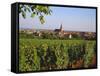 Bergheim, Alsace, France-John Miller-Framed Stretched Canvas