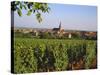 Bergheim, Alsace, France-John Miller-Stretched Canvas