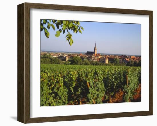 Bergheim, Alsace, France-John Miller-Framed Photographic Print