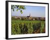 Bergheim, Alsace, France-John Miller-Framed Photographic Print