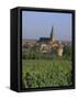 Bergheim and Vineyards, Alsace, France-John Miller-Framed Stretched Canvas